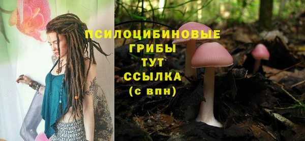 стафф Бронницы